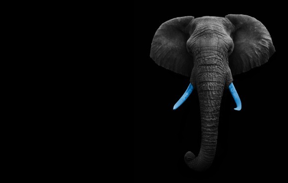 /blog/stati-i-analitika/chto-takoe-performance-v-internet-reklame-kak-postroit-strategiyu-kotoraya-pomozhet-biznesu-vyrasti/